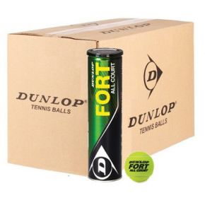 0000224809-dunlop-fort-all-court-karton-i.jpg