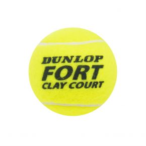 0000232523-dunlop-fort-clay-court-detail.jpg