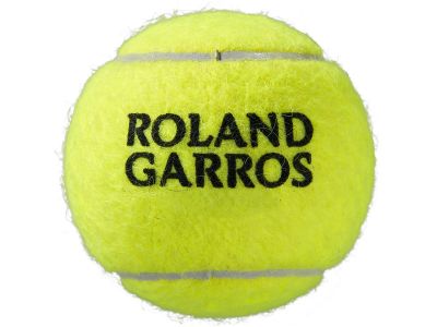 ROLAND GARROS CLAY CT II.jpg