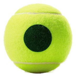 ROLAND GARROS starter I.jpg