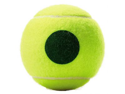 ROLAND GARROS starter I.jpg