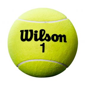 Roland garros mini ball yellow I.jpg