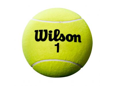 Roland garros mini ball yellow I.jpg