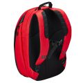 dna backpack red I.jpg