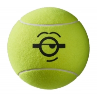 Minions Jumbo ball.jpg