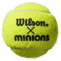 MINIONS TENNIS BALLS I.jpg