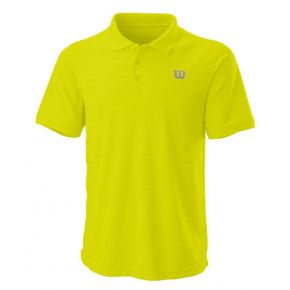 STRIPE POLO spring.jpg
